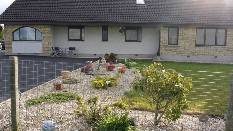 Hillhaven B&B