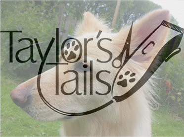 Taylors Tails Dog Grooming