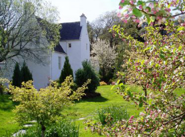 The Old Orchard