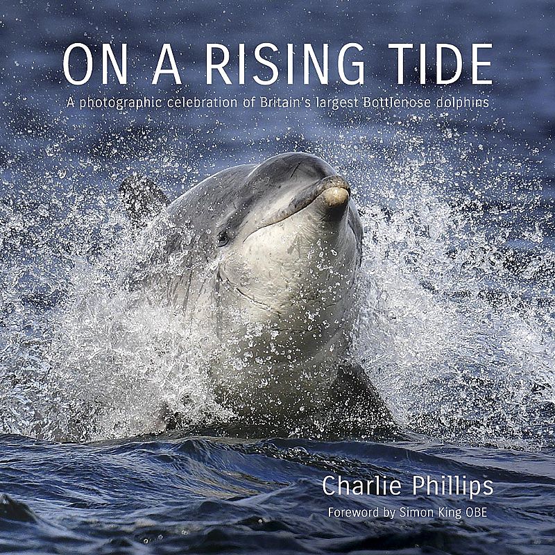 Charlie Phillips Images