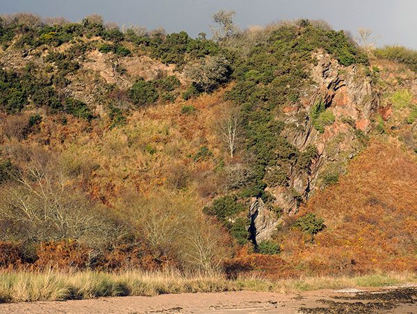 Costline cliffs near Cairds Cave