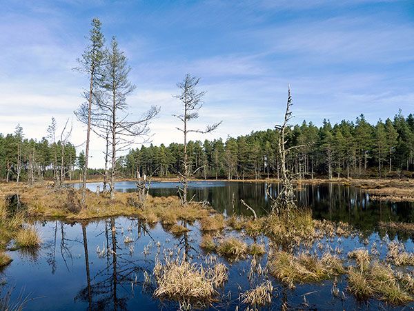 Simons Loch, Monadh Mor