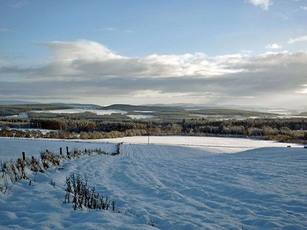 Winter farmland